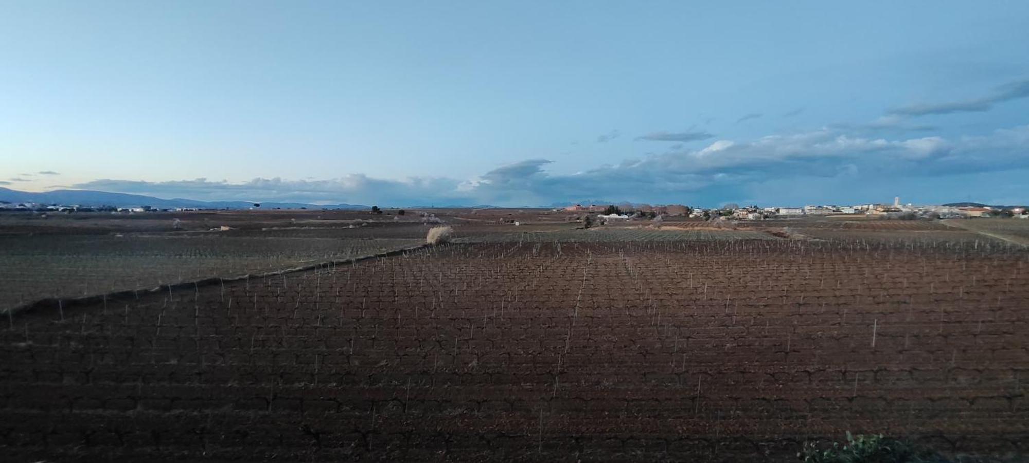 Cal Llop Villa Sant Cugat de Sesgarrigues Exteriör bild