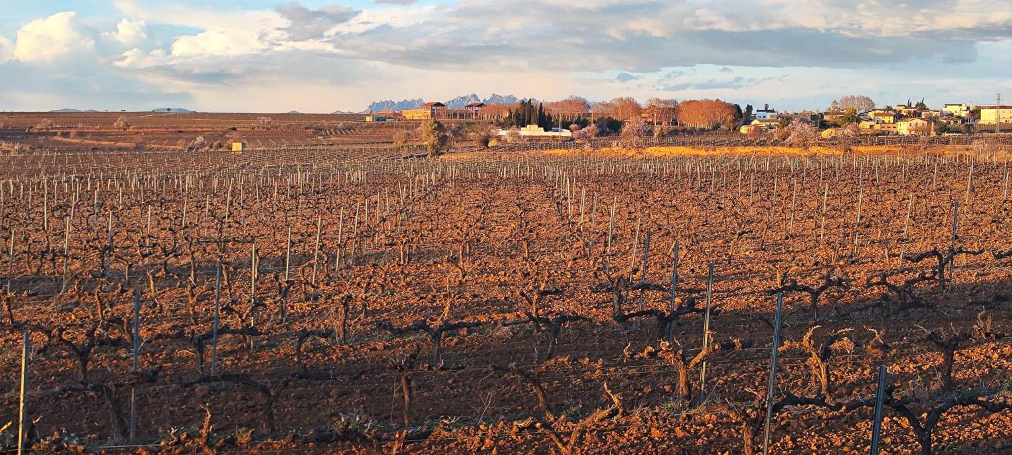 Cal Llop Villa Sant Cugat de Sesgarrigues Exteriör bild