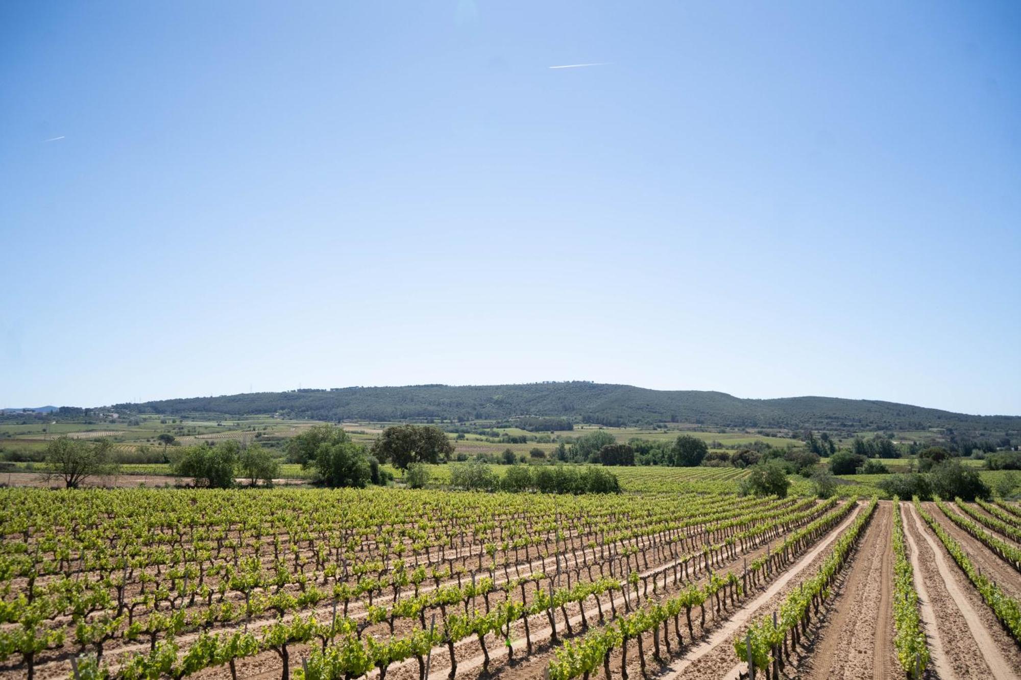 Cal Llop Villa Sant Cugat de Sesgarrigues Exteriör bild